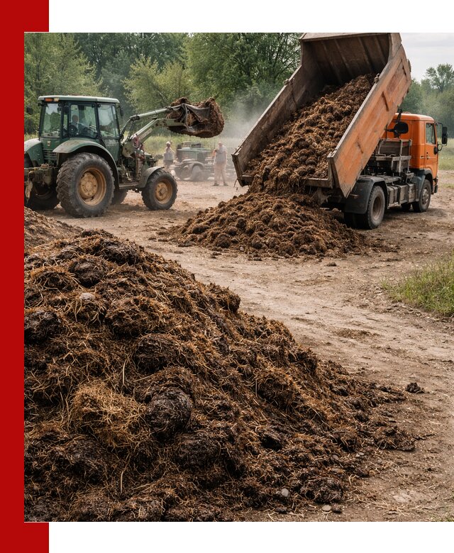 Доставка навоза самосвалами в Пушкине для сельхозпотребностей