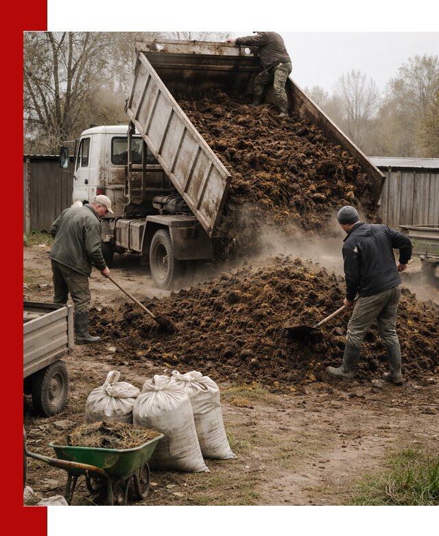 Доставка коровьего навоза самосвалом в Пушкине
